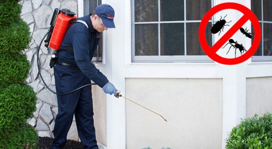 Cumayeri Böcek İlaçlama böcek ilaçlama ve haşere kontrolü — ilaclama-tr.com